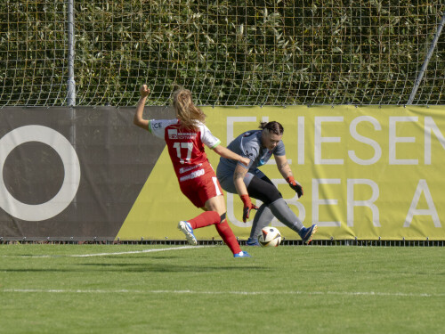 nebelberg-steyr_4-1_19-09-2026-034.jpg