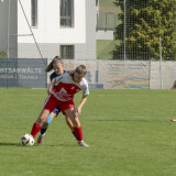 nebelberg-steyr_4-1_19-09-2026-038