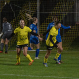 niederthalheim-altenfelden_3-0_24-09-2026-011