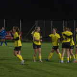 niederthalheim-altenfelden_3-0_24-09-2026-017