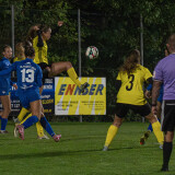 niederthalheim-altenfelden_3-0_24-09-2026-020