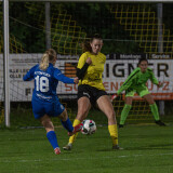 niederthalheim-altenfelden_3-0_24-09-2026-025