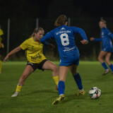 niederthalheim-altenfelden_3-0_24-09-2026-029