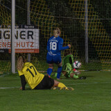 niederthalheim-altenfelden_3-0_24-09-2026-033