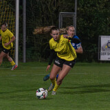 niederthalheim-altenfelden_3-0_24-09-2026-034