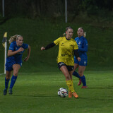 niederthalheim-altenfelden_3-0_24-09-2026-058