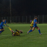 niederthalheim-altenfelden_3-0_24-09-2026-059