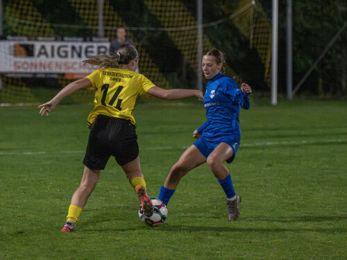 niederthalheim-altenfelden_3-0_24-09-2026-065.jpg