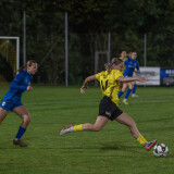 niederthalheim-altenfelden_3-0_24-09-2026-066