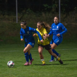 niederthalheim-altenfelden_3-0_24-09-2026-073