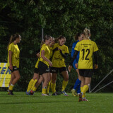 niederthalheim-altenfelden_3-0_24-09-2026-089