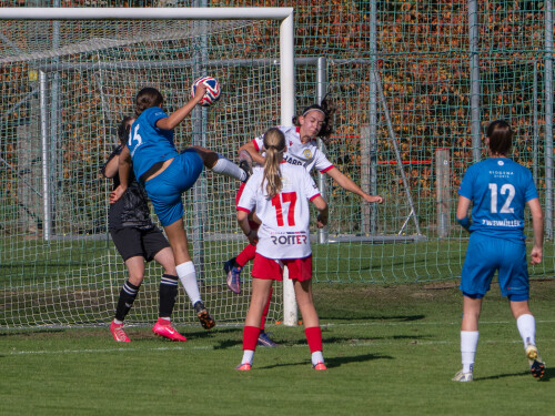 lembach-peuerbach_0-1_03-10-2026-010.jpg