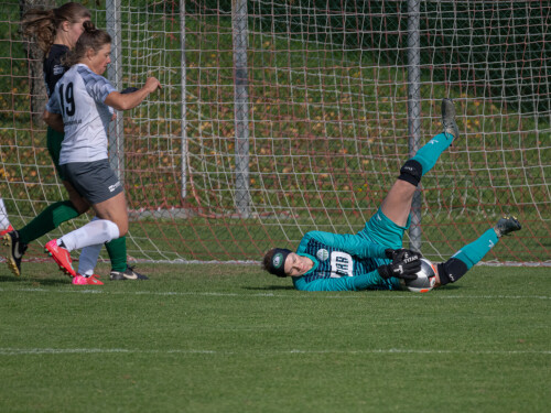 eidenberg-hellmonsoedt_3-0_18-10-2026-03.jpg