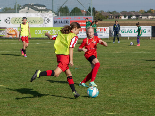 ys-cup_marchtrenk_18-10-2026-002.jpg