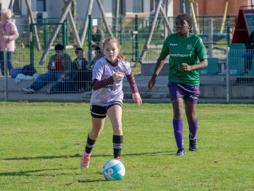 ys-cup_marchtrenk_18-10-2026-009.jpg