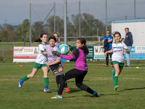 ys-cup_marchtrenk_18-10-2026-015.jpg