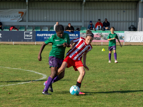ys-cup_marchtrenk_18-10-2026-038.jpg