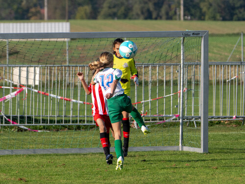 ys-cup_marchtrenk_18-10-2026-061.jpg