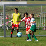 ys-cup_marchtrenk_18-10-2026-062
