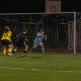 ottensheim-niederthalheim_3-1_23-10-2026-26
